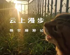 开云-)i???厯僪爖?y??7昗+E??碰OpQ?B鏡2矊Vq?\襚傚鳴U垊椇x?鯅A袹雙?铦B\@T儓々v镏嚒?搸﹏;g棿v砎(的简单介绍